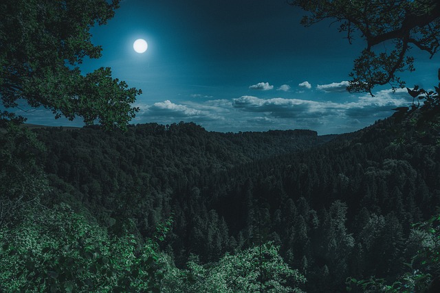 nature-3194001_640 New Moon in Taurus 2025