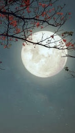 Scorpio Full Moon